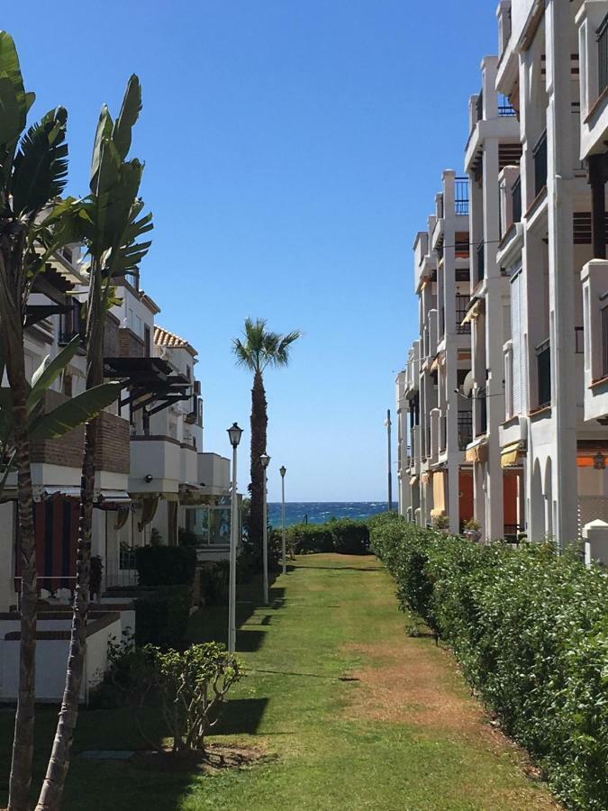Coral Torrox